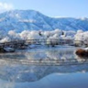 Meet your Posher, Karley